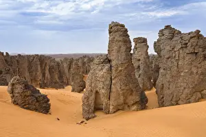 Fell Prints: Stone desert, Tassili Maridet, Libyan Desert, Libya, Sahara, North Africa, Africa