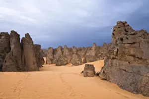 Fell Prints: Stone desert, Tassili Maridet, Libyan Desert, Libya, Sahara, North Africa, Africa