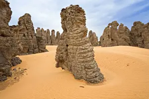 Fell Prints: Stone desert, Tassili Maridet, Libyan Desert, Libya, Sahara, North Africa, Africa