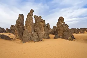 Fell Prints: Stone desert, Tassili Maridet, Libyan Desert, Libya, Sahara, North Africa, Africa