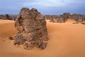 Fell Prints: Stone desert, Tassili Maridet, Libyan Desert, Libya, Sahara, North Africa, Africa