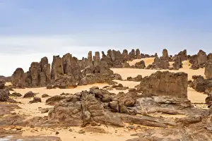 Fell Prints: Stone desert, Tassili Maridet, Libyan Desert, Libya, Sahara, North Africa, Africa