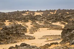 Fell Prints: Stone desert, Tassili Maridet, Libyan Desert, Libya, Sahara, North Africa, Africa