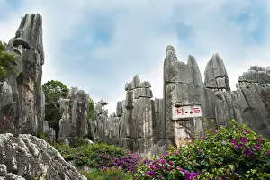 Non Western Script Prints: Stone forest, ShiLin, China