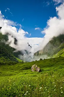 Stone Garden In the Clouds