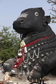 Images Dated 1st February 2010: Stone Nandi statue, Chamundi Hill, Mysore, Karnataka, South India, India, South Asia, Asia