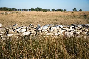 Oland Prints: Stone wall on A-land