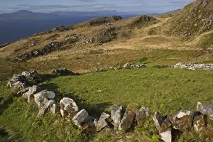 Stone Wall Around An Old Field On The Sheeps Head Peninsula In West Cork