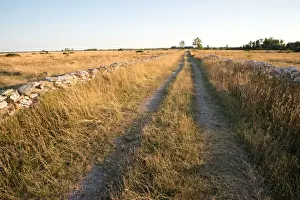 Oland Prints: Stone wall and small road wall on A-land