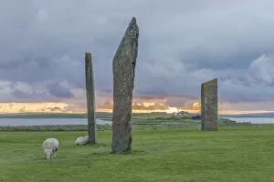 Images Dated 5th June 2017: Stones of Stenness, Orkney Island, Scotland, UK