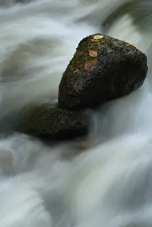 Stony Prints: Stones in a stream bed