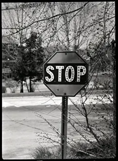 Stop Sign Prints: Stop Sign