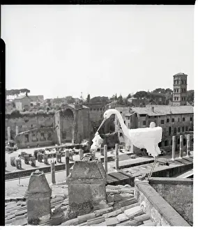 Stork Prints: Stork Carrying Baby On Rooftop