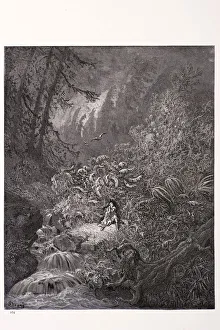 Solitude Gallery: Storm in the forest