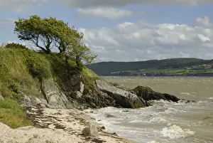 Bank Prints: Stormy roaring sea off the coast of Donegal, Rathmullan, County Donegal, Ireland, Europe