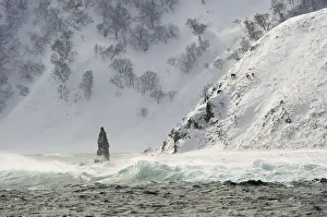 Wilderness Gallery: Stormy seas and coastline