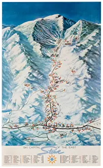 Stowe Resort Map Poster