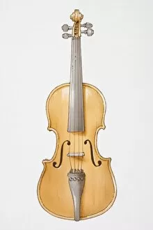 Images Dated 7th July 2006: Stradivarius violin, front view