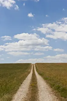 Pathway Prints: Straight dirt road through fields