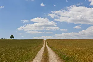 Swiss Collection: Straight dirt road through fields
