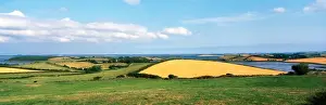 Strangford Lough, County Down, Ireland