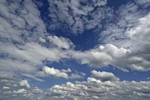 Images Dated 19th August 2014: Stratocumulus clouds