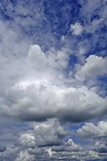 Mittelfranken Prints: Stratocumulus clouds, Eckental, Middle Franconia, Bavaria, Germany