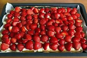 A strawberry cake on a baking sheet