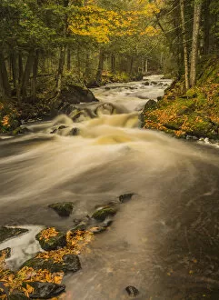 Images Dated 2nd October 2014: Stream in autumn, Upper Peninsula, Michigan, USA