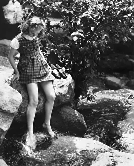 Stream Dip