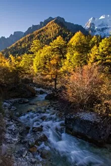 Stream Flowing Water Gallery: Stream in Yading National Reserve