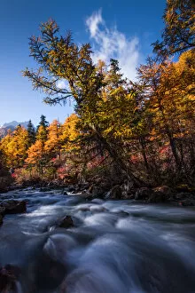 Images Dated 22nd October 2012: Stream in Yading Nature Reserve, Sichuan Province