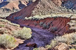 Images Dated 7th October 2017: Streambed near Fisher Towers, Moab, Utah, USA