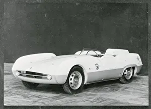 Turin Prints: Streamlined Sports Car