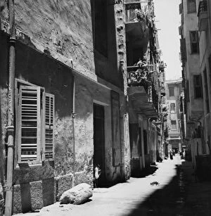 Images Dated 1st April 2011: Street In Alexandria