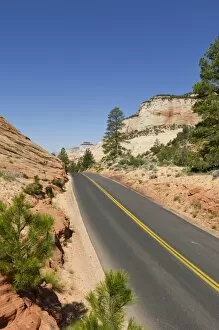 Images Dated 11th June 2011: Street, Checkerboard Mesa, Zion National Park, Utah, USA