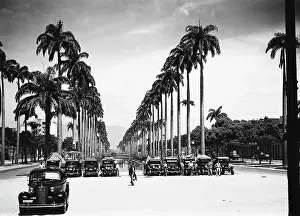 1920s Style Prints: Street In Rio De Janeiro/Plam Trees