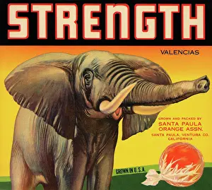Valencia Prints: Strength Brand Valencias