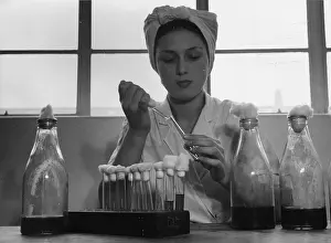 Collection Of Obje Prints: Streptomycin Making