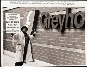 Striker Stands Beside Greyhound Sign