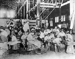 String Beans Being Processed by Hand