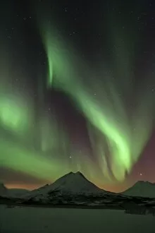 Strong Northern Lights above a snowy Norwegian landscape, Nakketvatnet, Tromso, ?Troms, Northern Norway, Norway