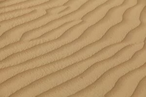 Images Dated 23rd April 2011: Structure in sand, Emirate of Dubai, United Arab Emirates