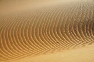 Structures in the sand, desert of Erg Chebbi, Morocco, Africa, PublicGround