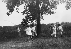 Determination Prints: Stuck Up A Tree; boys throwing sticks in an attempt to bring an object down