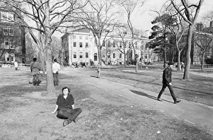Students at Harvard University