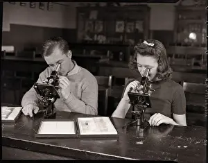 Classroom Prints: Students Looking Through Microscopes