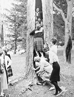Maine Prints: Students Standing Inside Tree Trunk