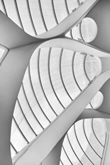 Artistic and Creative Abstract Architecture Art Gallery: Study of Lines and Curves