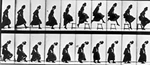 Sequences Collection: Study Of Motion